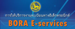 BORA E-services